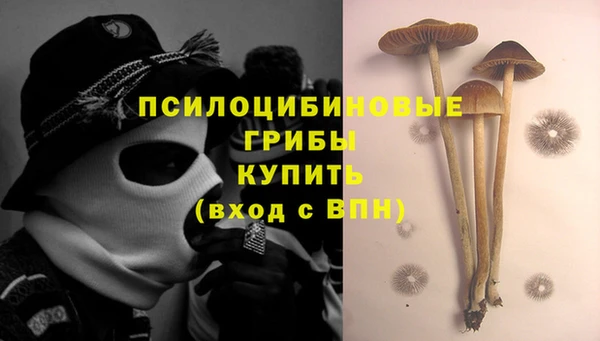 мяу мяу мука Переславль-Залесский