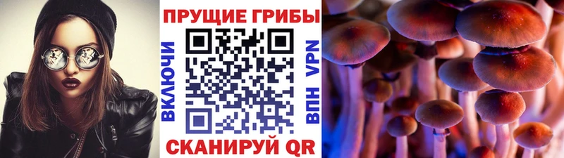 Галлюциногенные грибы ЛСД Аксай