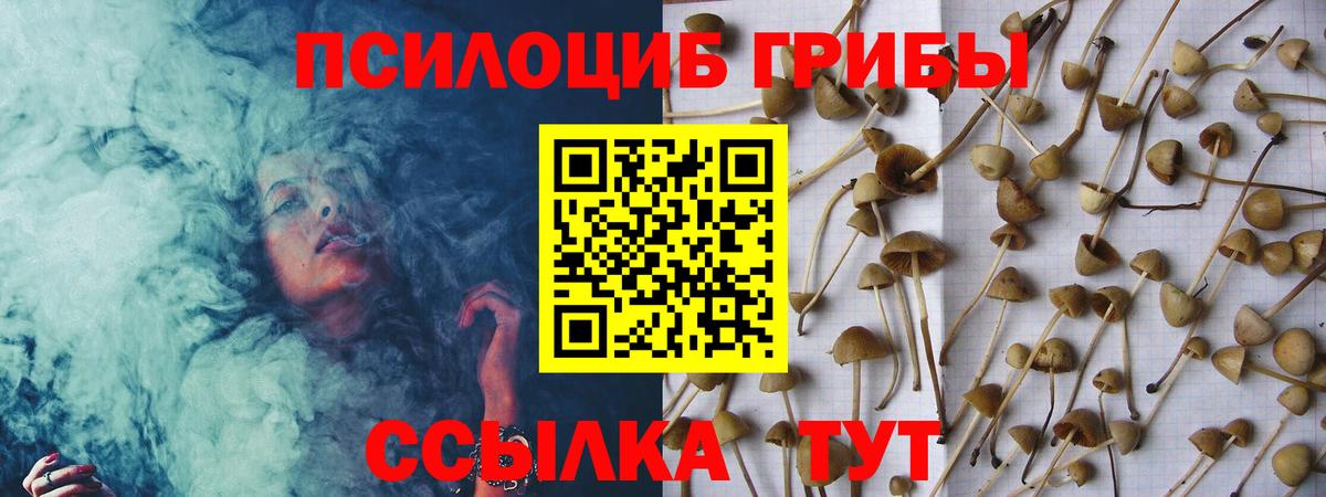 Галлюциногенные грибы Cubensis Аксай