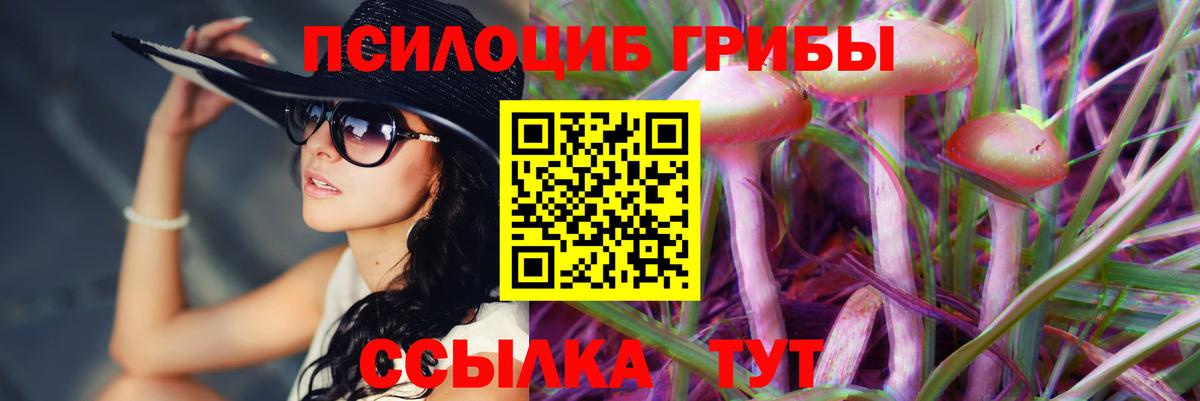 сколько стоит  Вход с VPN  Галлюциногенные грибы Psilocybine cubensis  Аксай  Псилоцибиновые грибы Psilocybe 